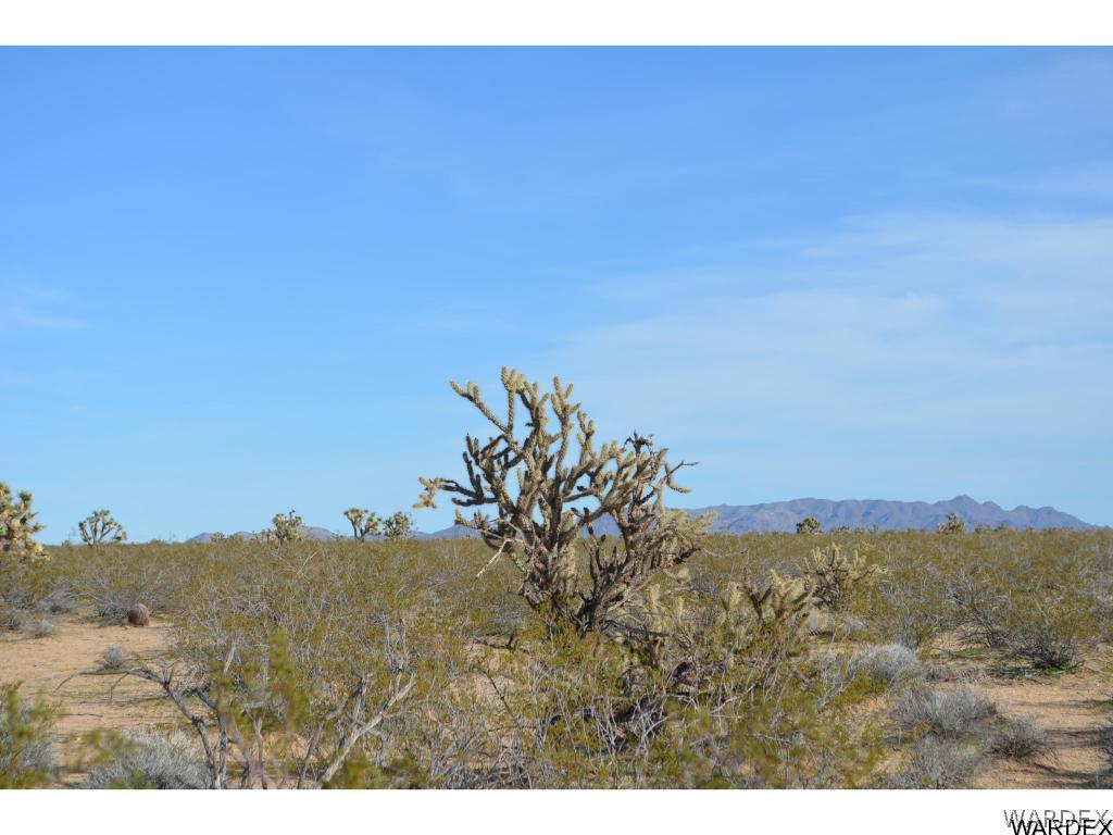 2144 A Wyatt Earp Road Yucca, AZ 86438 - Photo 6 of 16 Gallery Image 6