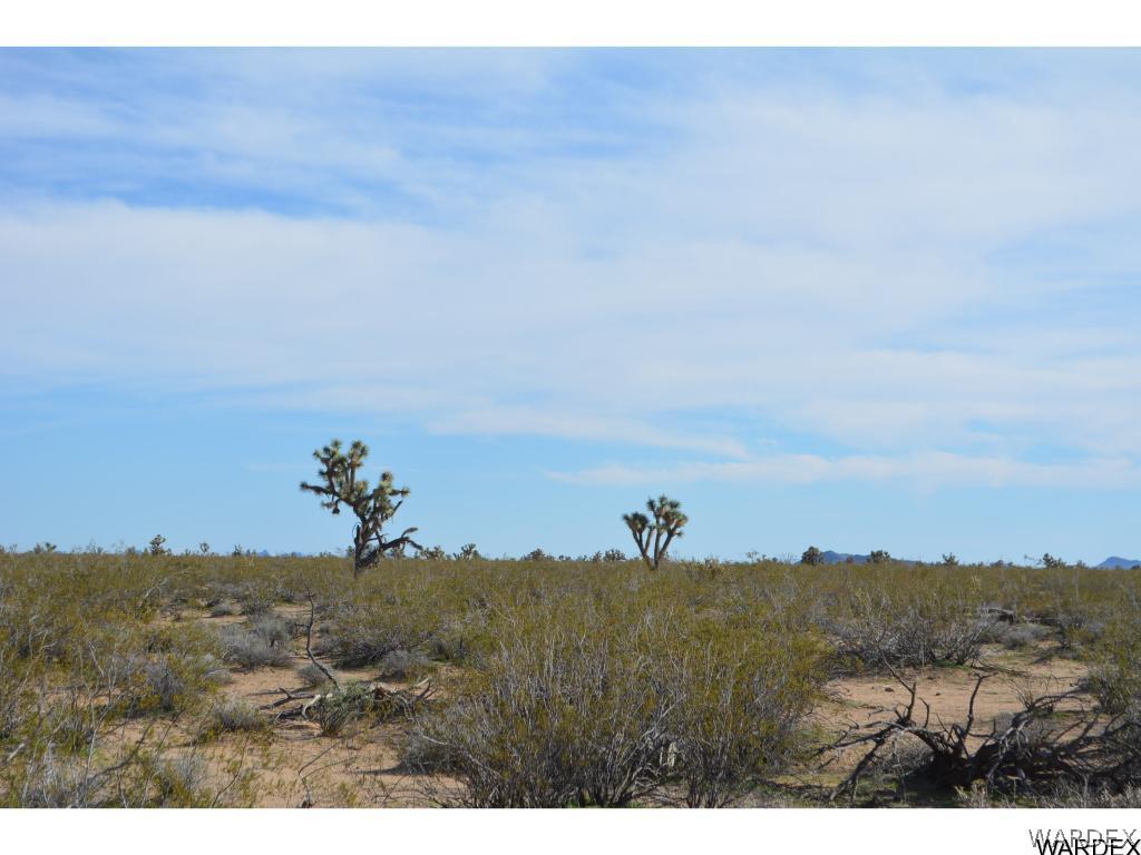 2144 A Wyatt Earp Road Yucca, AZ 86438 - Photo 7 of 16 Gallery Image 7