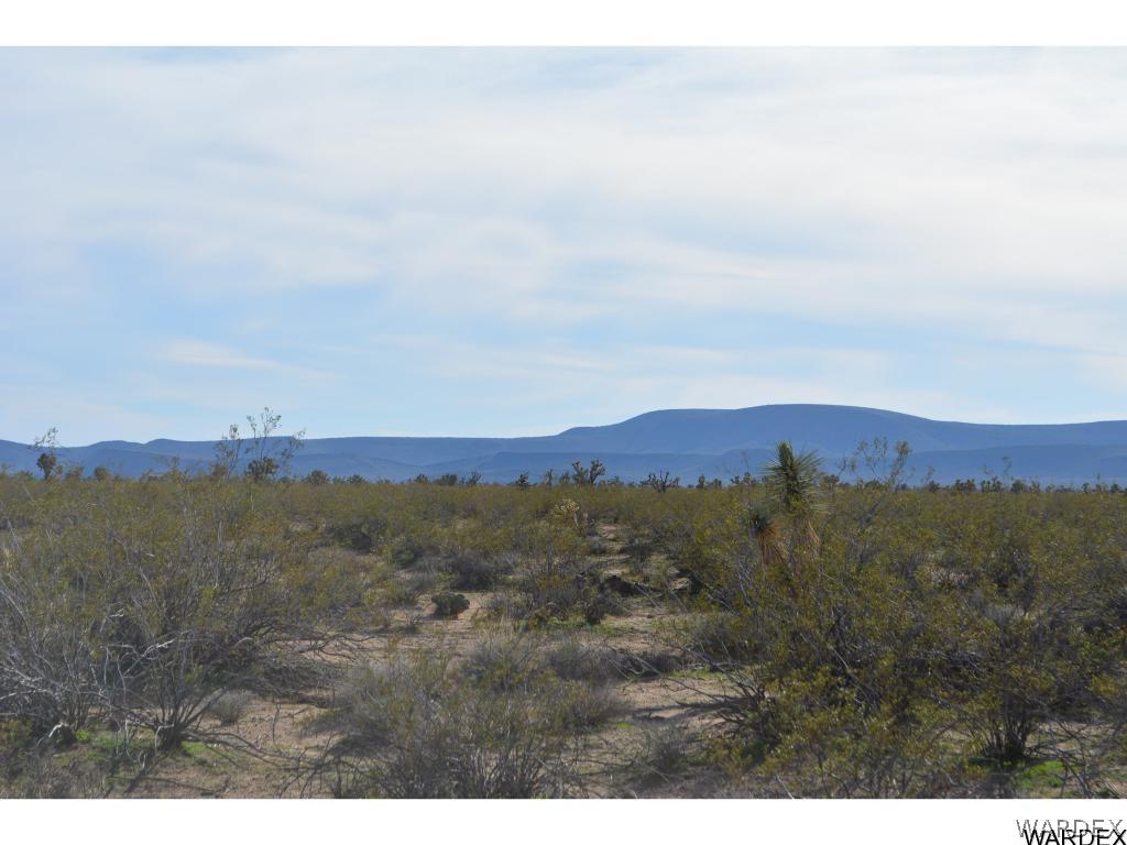 2144 A Wyatt Earp Road Yucca, AZ 86438 - Photo 8 of 16 Gallery Image 8