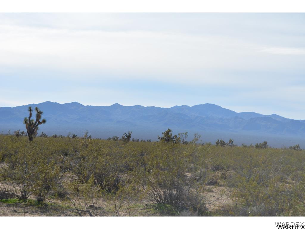 2144 A Wyatt Earp Road Yucca, AZ 86438 - Photo 9 of 16 Gallery Image 9