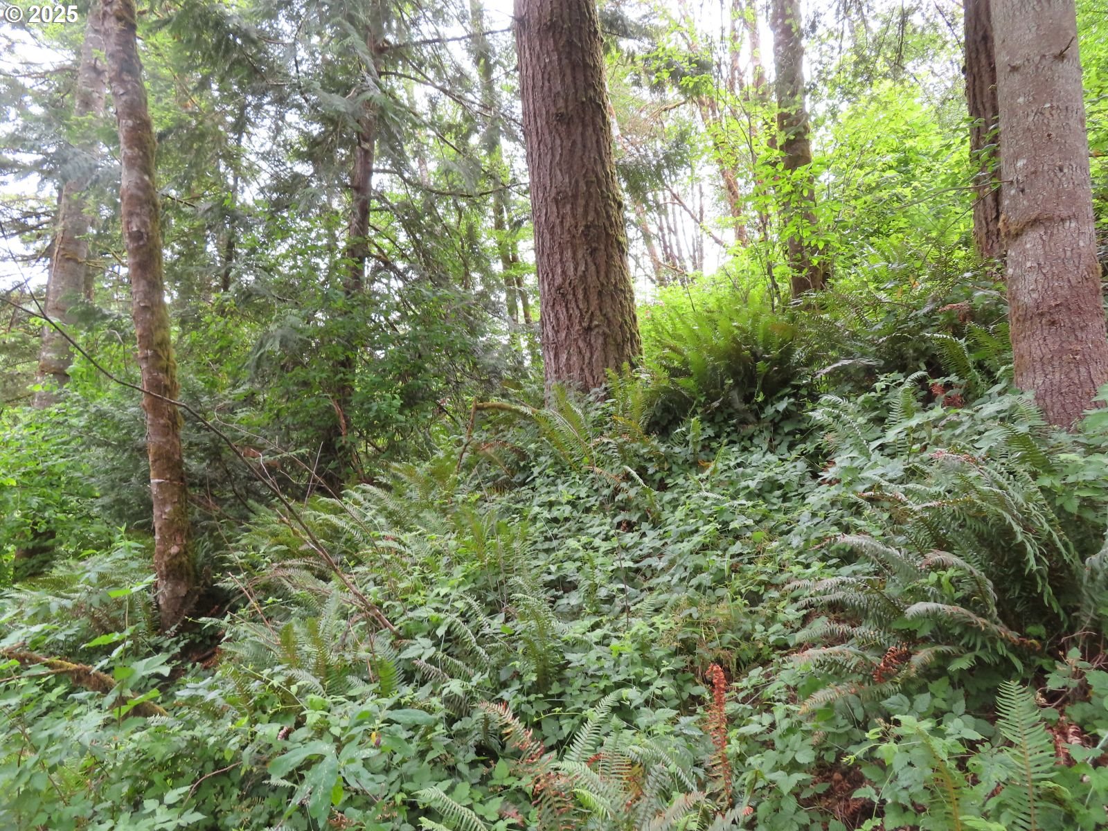 21720 Zenkner Valley Road Centralia, WA 98531 - Photo 17 of 17