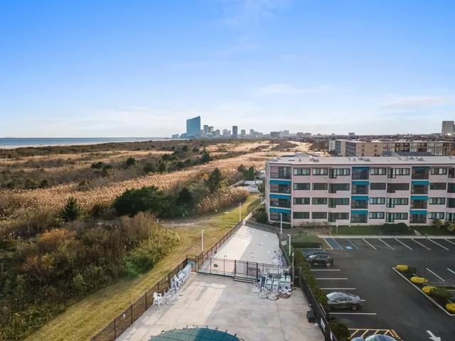 a view of a forest with trees in the background