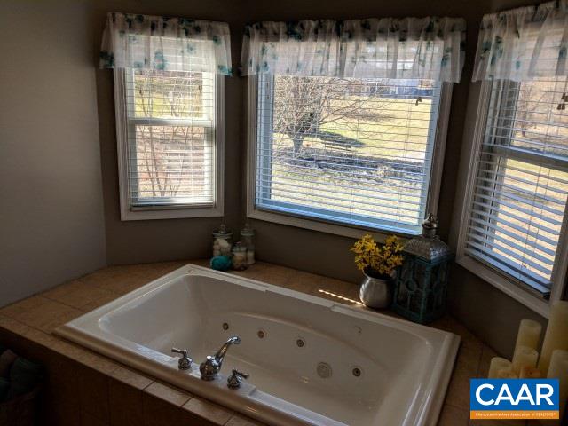 760 Tryme Road Reva, VA 22735 - Photo 22 of 30 Master bath garden tub
