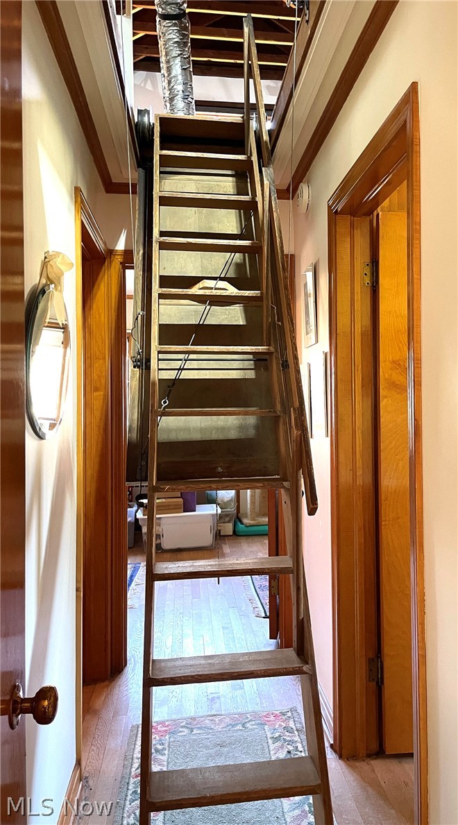 526 Ridgeleigh Street Minerva, OH 44657 - Photo 25 of 28 Stairway with light hardwood / wood-style flooring to attic