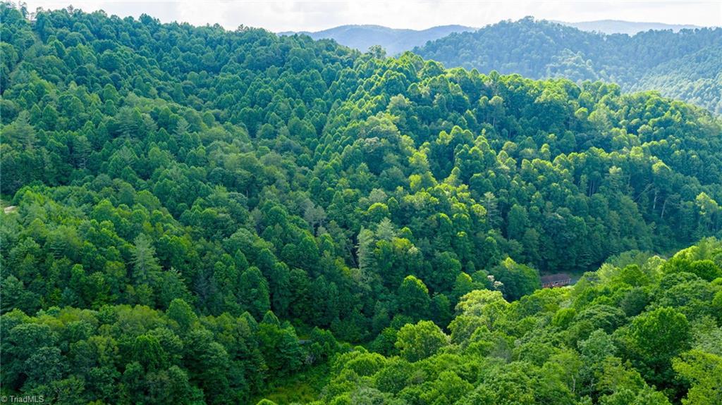 7 Big Laurel Road Creston, NC 28615 - Photo 11 of 20