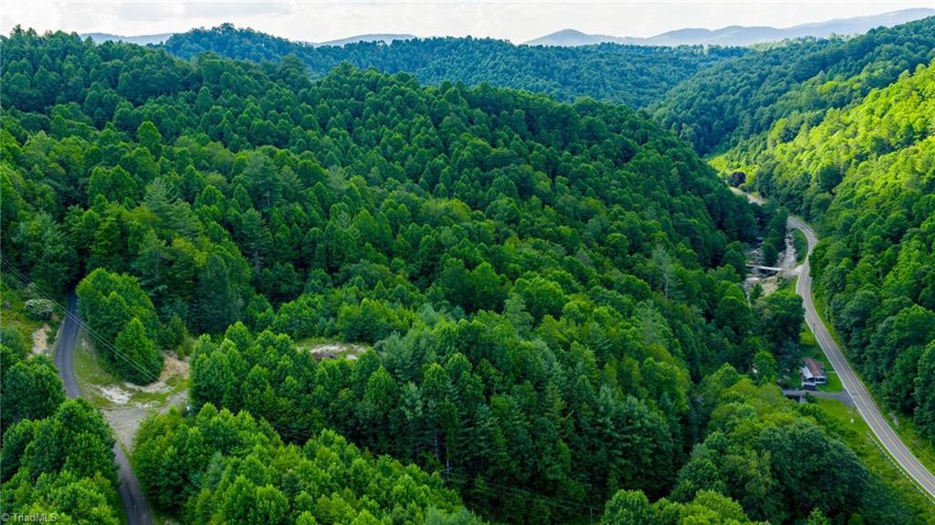 7 Big Laurel Road Creston, NC 28615 - Photo 12 of 20