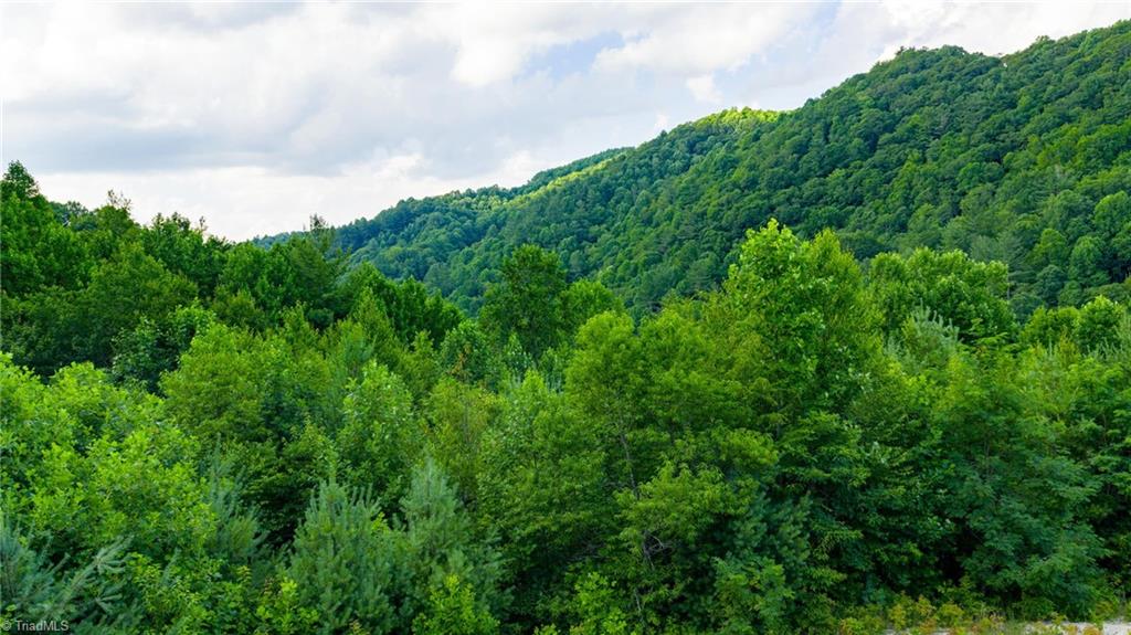 7 Big Laurel Road Creston, NC 28615 - Photo 13 of 20