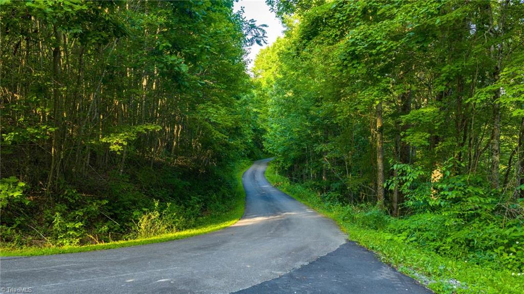 7 Big Laurel Road Creston, NC 28615 - Photo 19 of 20