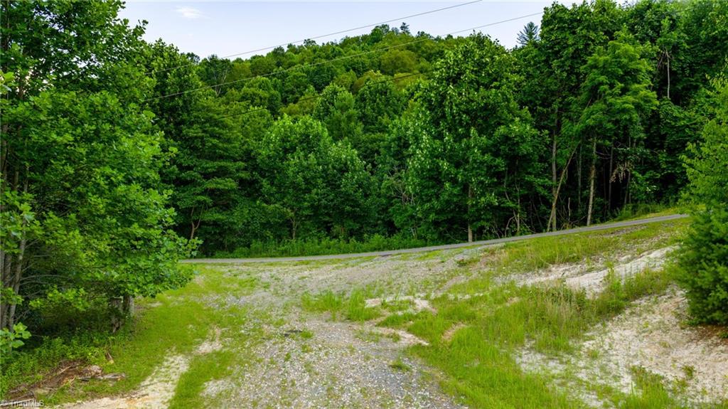 7 Big Laurel Road Creston, NC 28615 - Photo 5 of 20