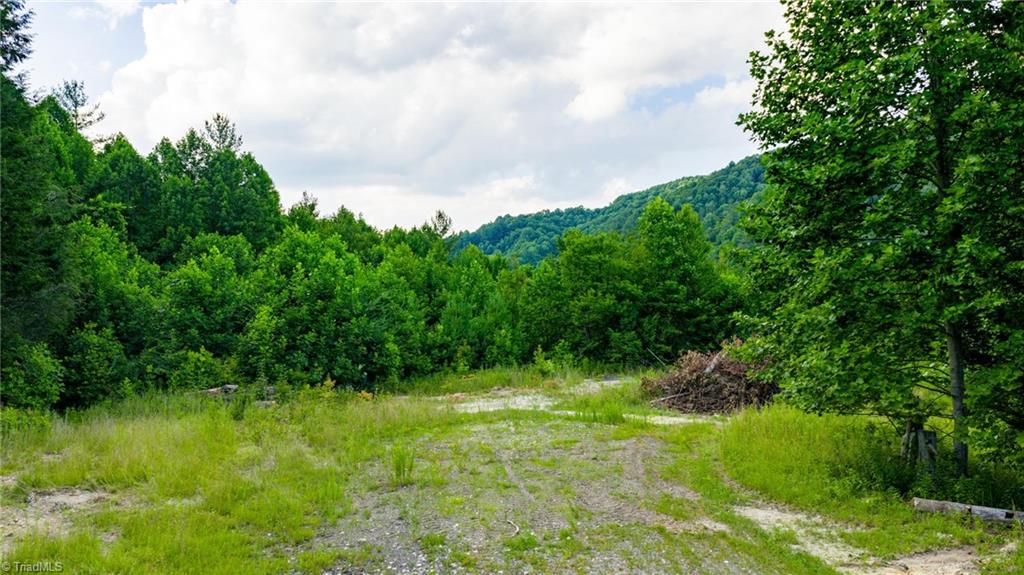 7 Big Laurel Road Creston, NC 28615 - Photo 9 of 20