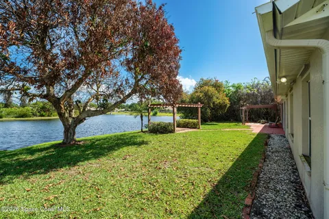 a view of a back yard