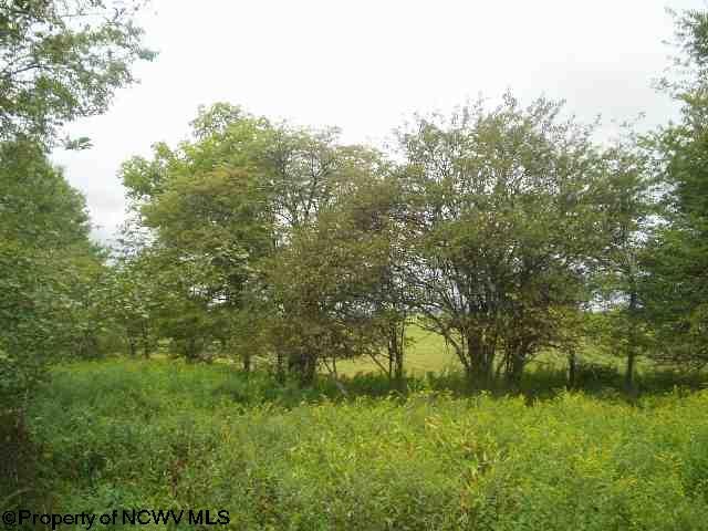 19 Pointy Knob Road Davis, WV 26260 - Photo 1 of 20 Gallery Image 1
