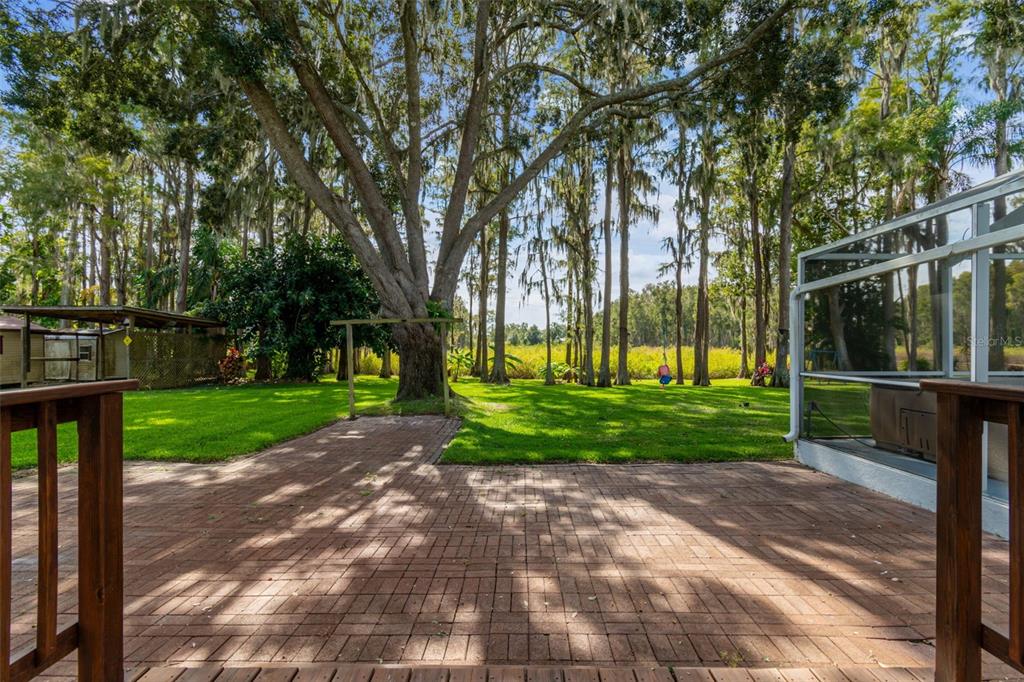 210 Lake Hobbs Road Lutz, FL 33548 - Photo 19 of 50