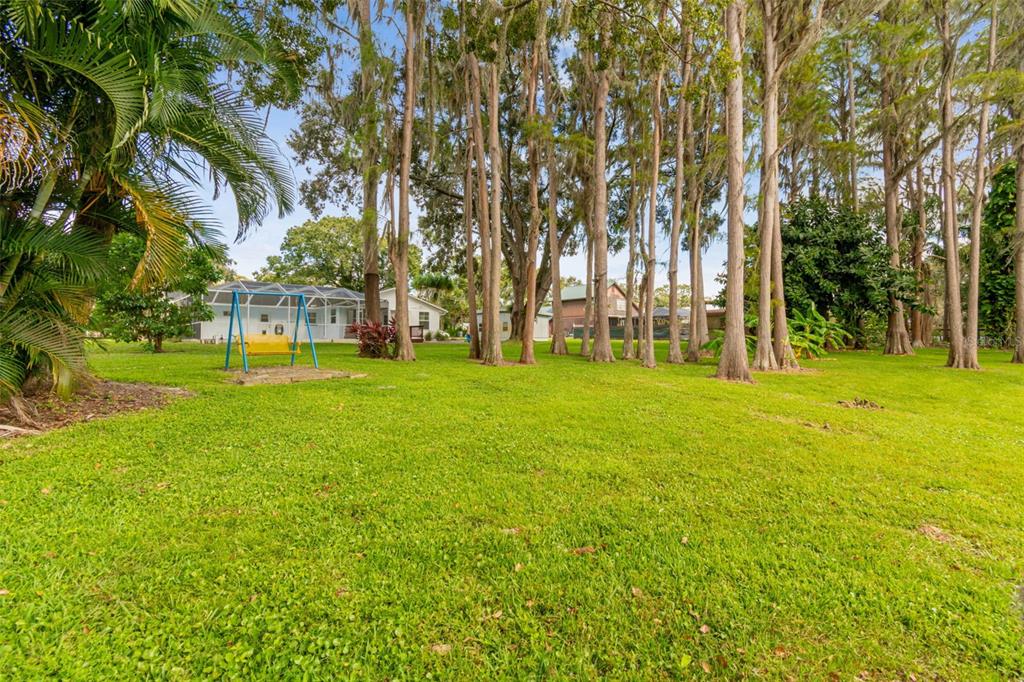 210 Lake Hobbs Road Lutz, FL 33548 - Photo 21 of 50