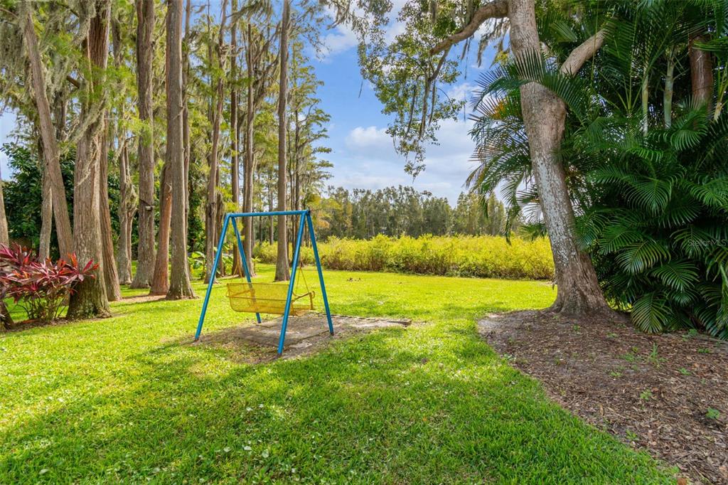 210 Lake Hobbs Road Lutz, FL 33548 - Photo 22 of 50