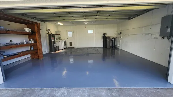 a view of a trees with a big yard