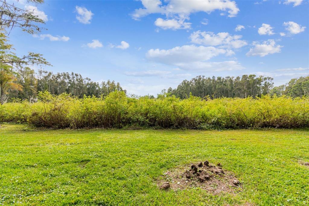 210 Lake Hobbs Road Lutz, FL 33548 - Photo 49 of 50