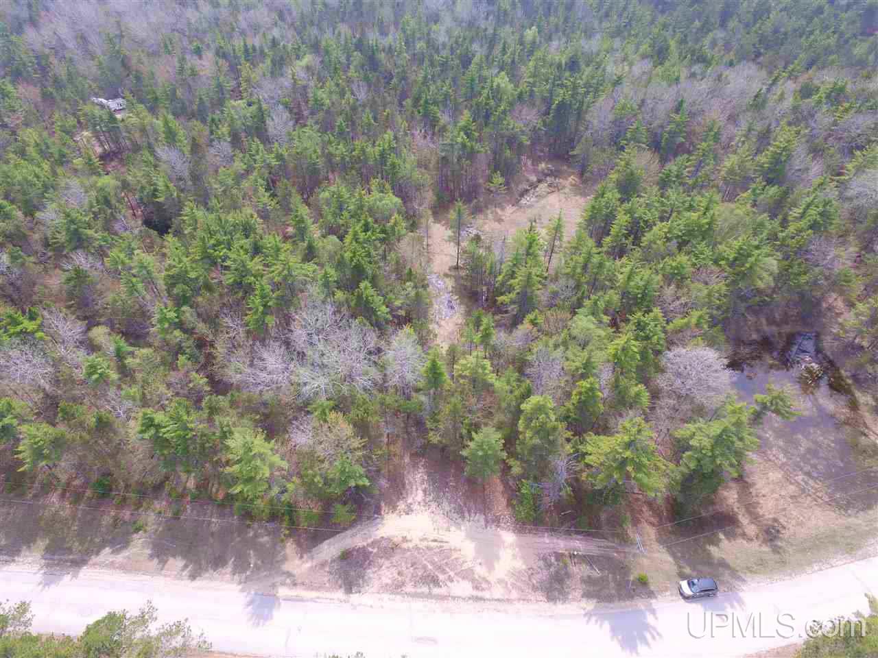 Tbd South Lake Michigan Shores Road Gulliver, MI 49840 - Photo 3 of 13