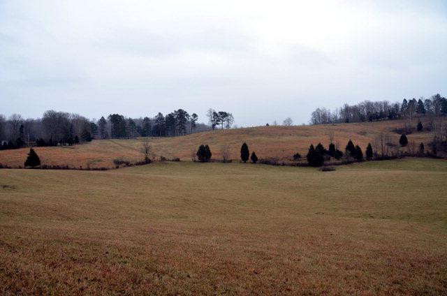1709 Macedonia Road Wayland, KY 41666 - Photo 4 of 7 Photo 4