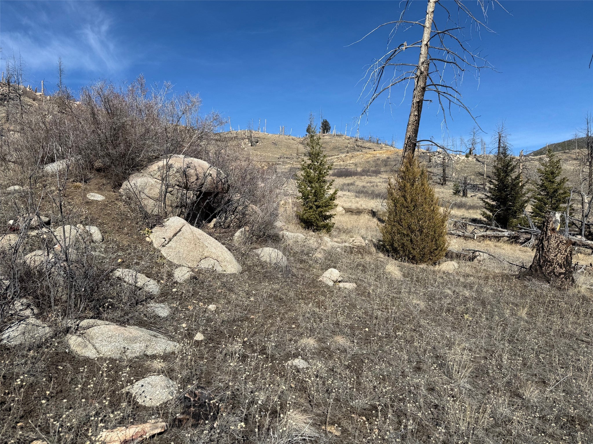 83 Nursery Creek Road Boulder, MT 59632 - Photo 12 of 62 from South West Corner looking east