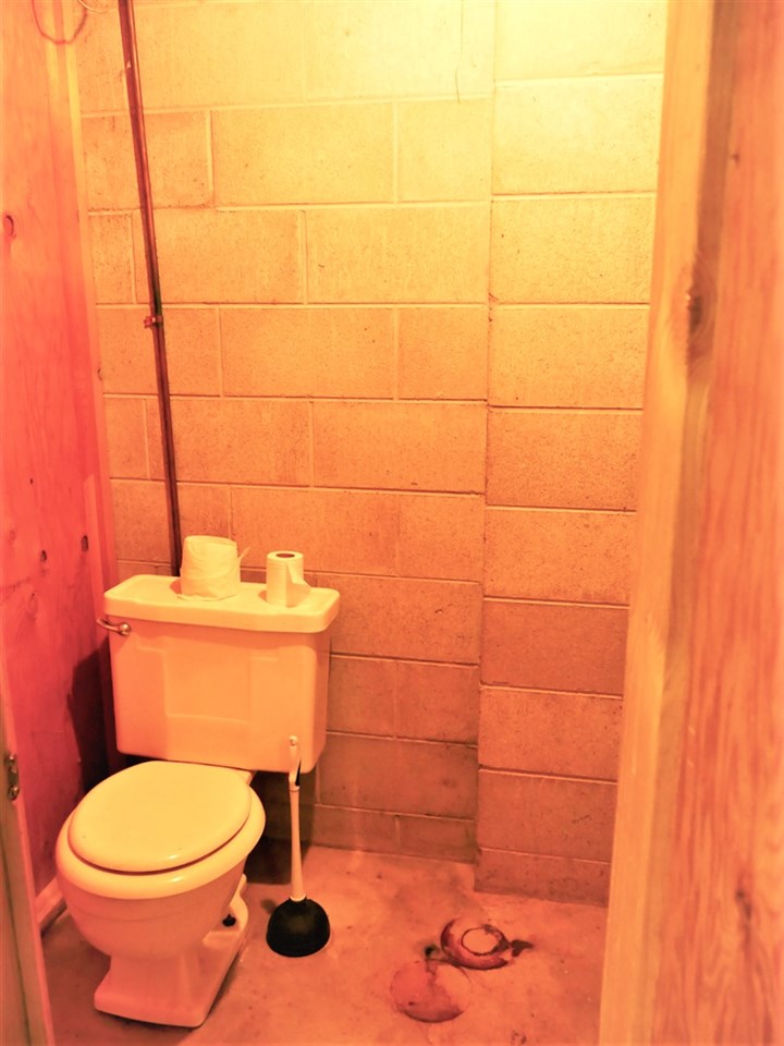4842 Cottrell Road Vassar, MI 48768 - Photo 20 of 23
