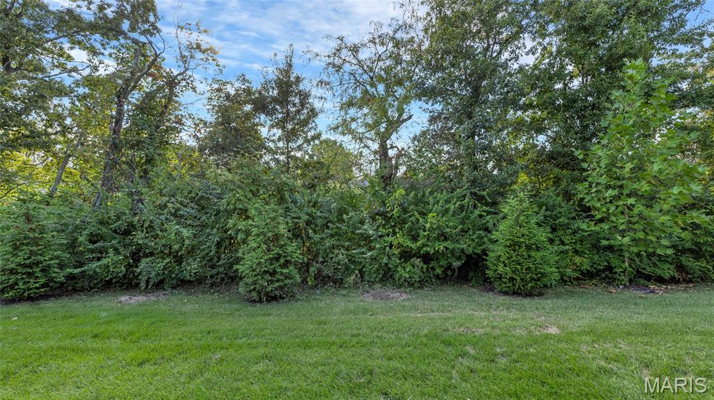 355 Newbridge Way O'Fallon, MO 63368 - Photo 34 of 40