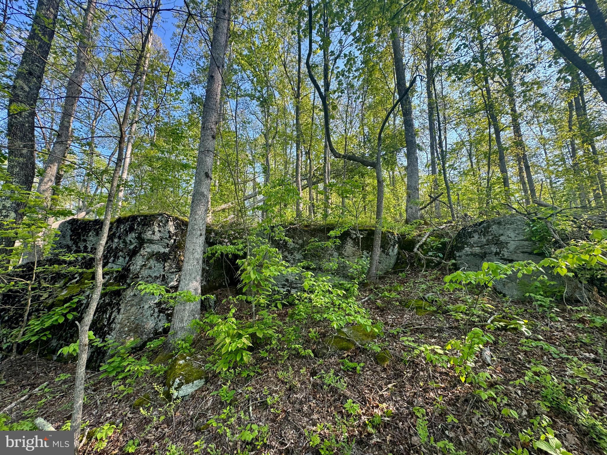 John Orr Road Independence, WV 26374 - Photo 24 of 37