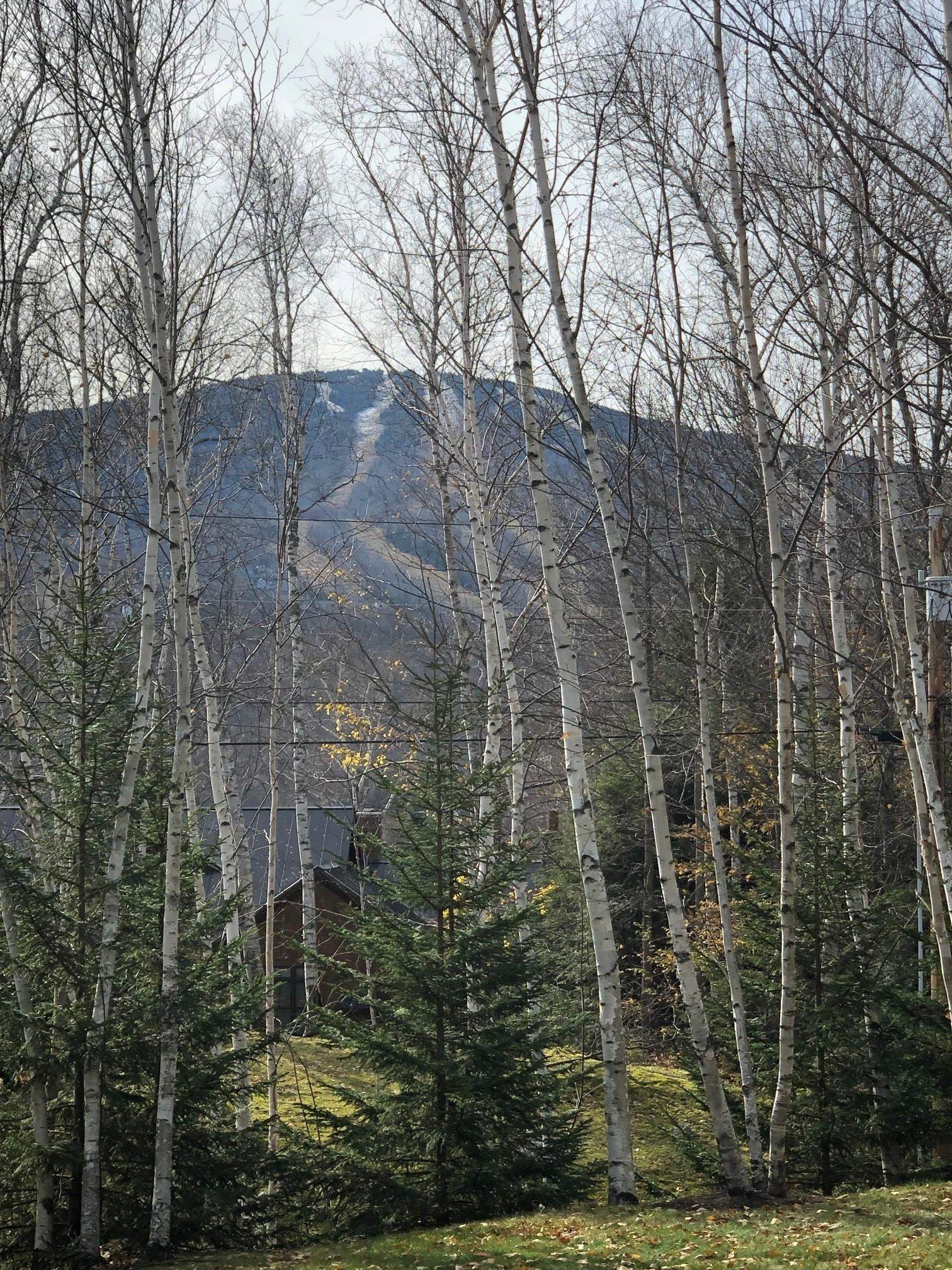 14 Stone House Road Winhall, VT 05340 - Photo 57 of 58