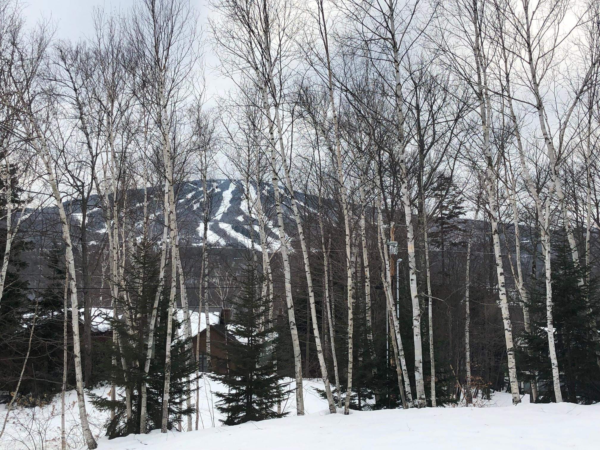 14 Stone House Road Winhall, VT 05340 - Photo 58 of 58