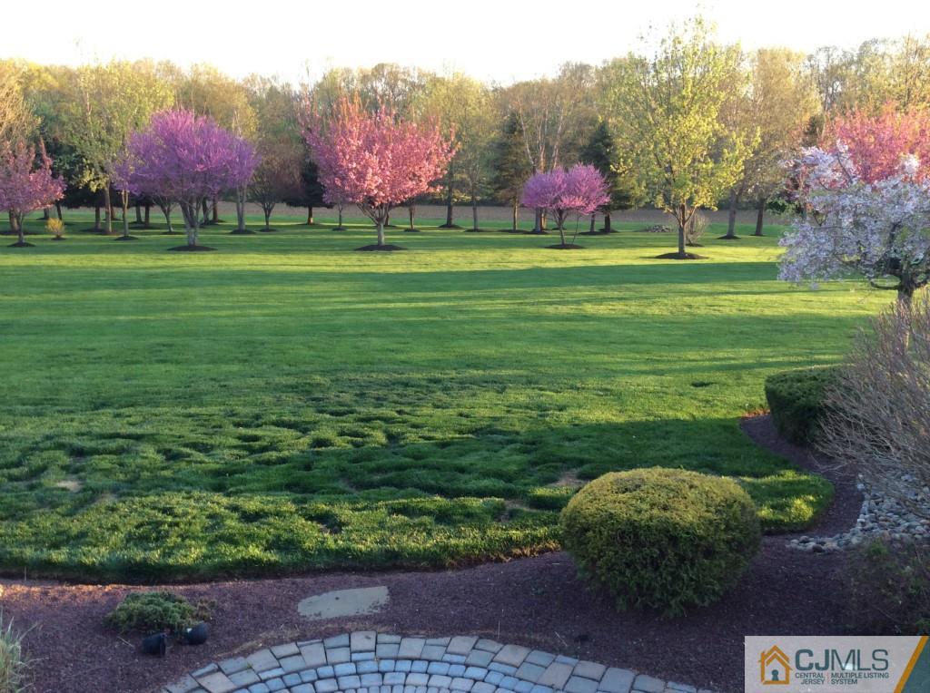 64 Petty Road Cranbury, NJ 08512 - Photo 22 of 25 Gallery Image 22