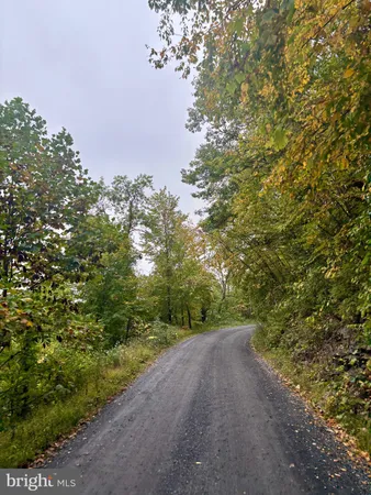 a view of a road with a yard