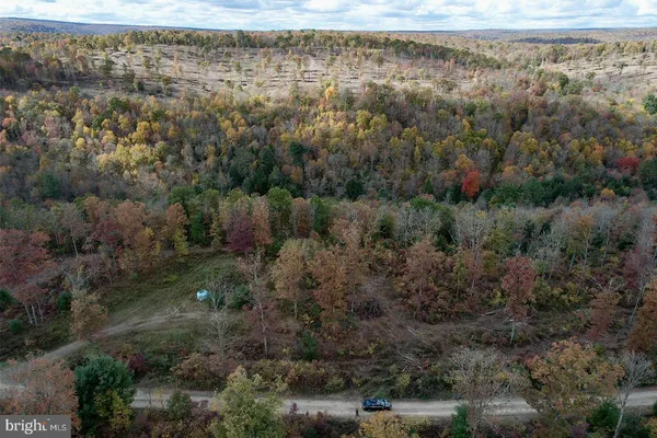 a view of a forest with a houses
