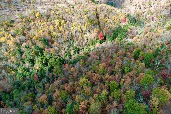 a view of a field