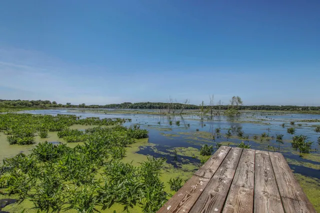 $2,900,000 | 6465 Sandhill Lane, Fennville, MI 49408