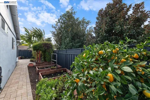 $1,599,000 | 40207 Condon Street, Fremont, CA 94538