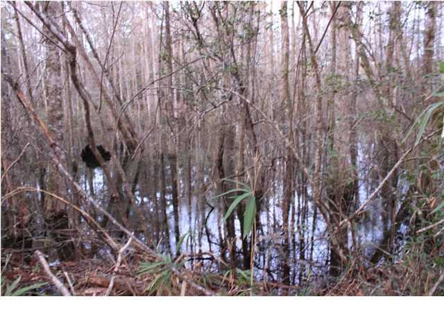 530 Woodlawn Road Freeport, FL 32439 - Photo 14 of 14 Gallery Image 14