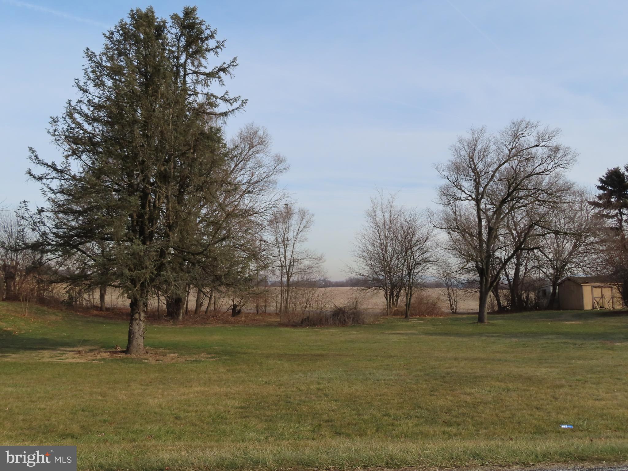 a view of a field with tree