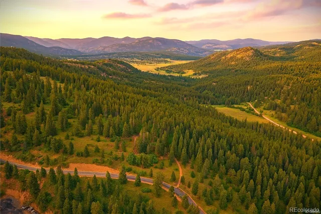 a view of a lush green hillside and a houses