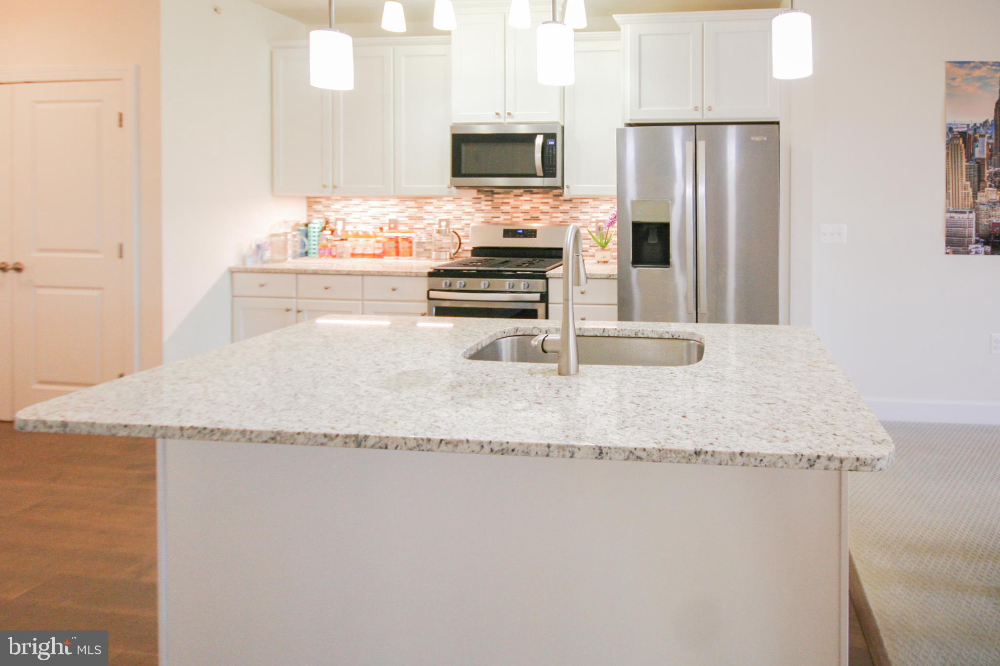 10530 Resort Road, Unit 310 Ellicott City, MD 21042 - Photo 24 of 64 Gallery Image 24