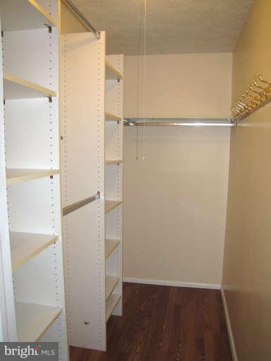 7723 Pinyon Road Hanover, MD 21076 - Photo 12 of 29 Walk-In Closet