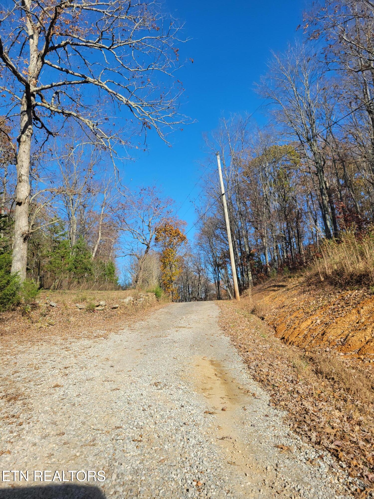 Kidd Mill Road Oneida, TN 37841 - Photo 11 of 24 Willie Boyatt Rd view 6