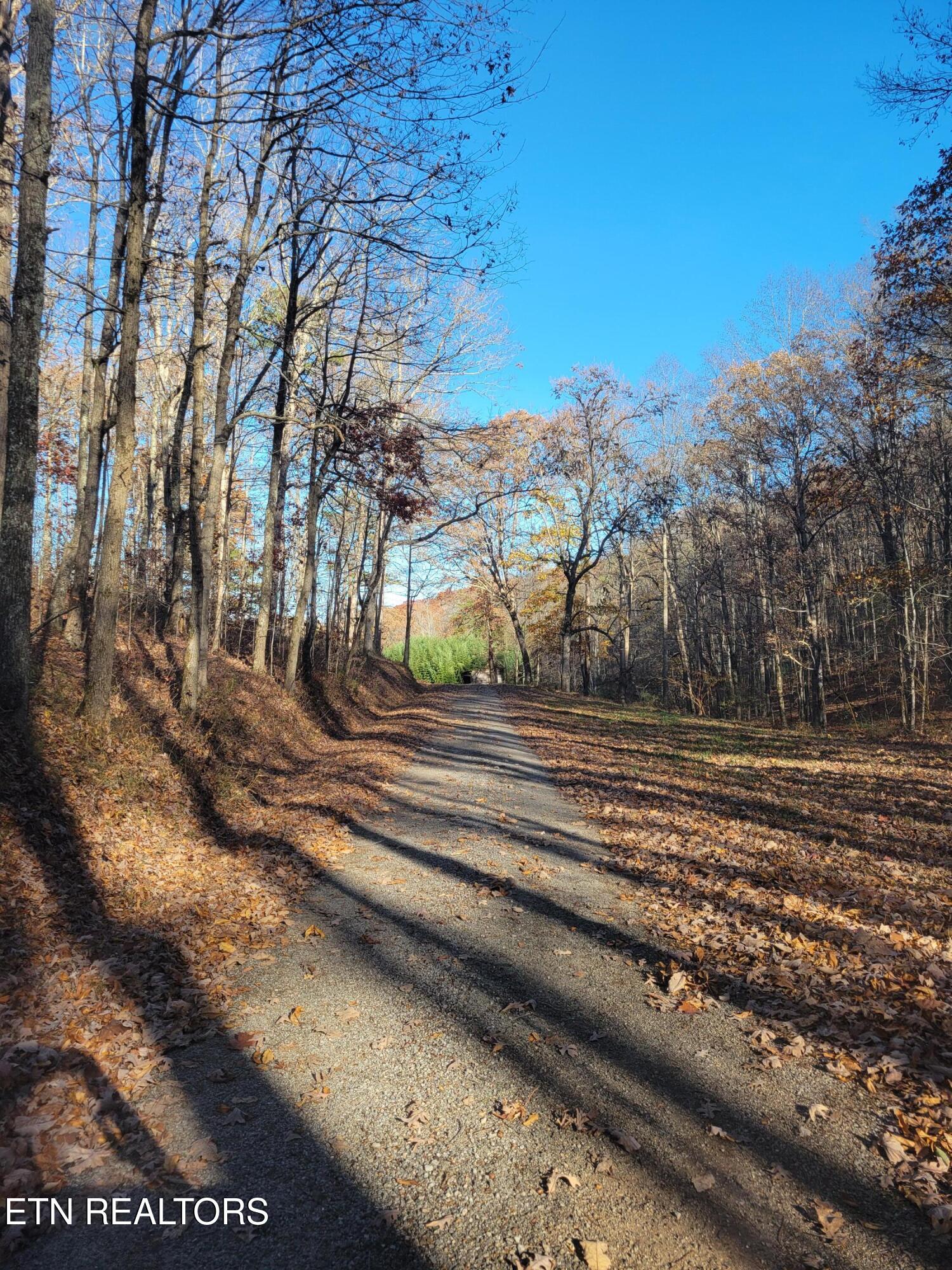 Kidd Mill Road Oneida, TN 37841 - Photo 12 of 24 Willie Boyatt Rd view 7