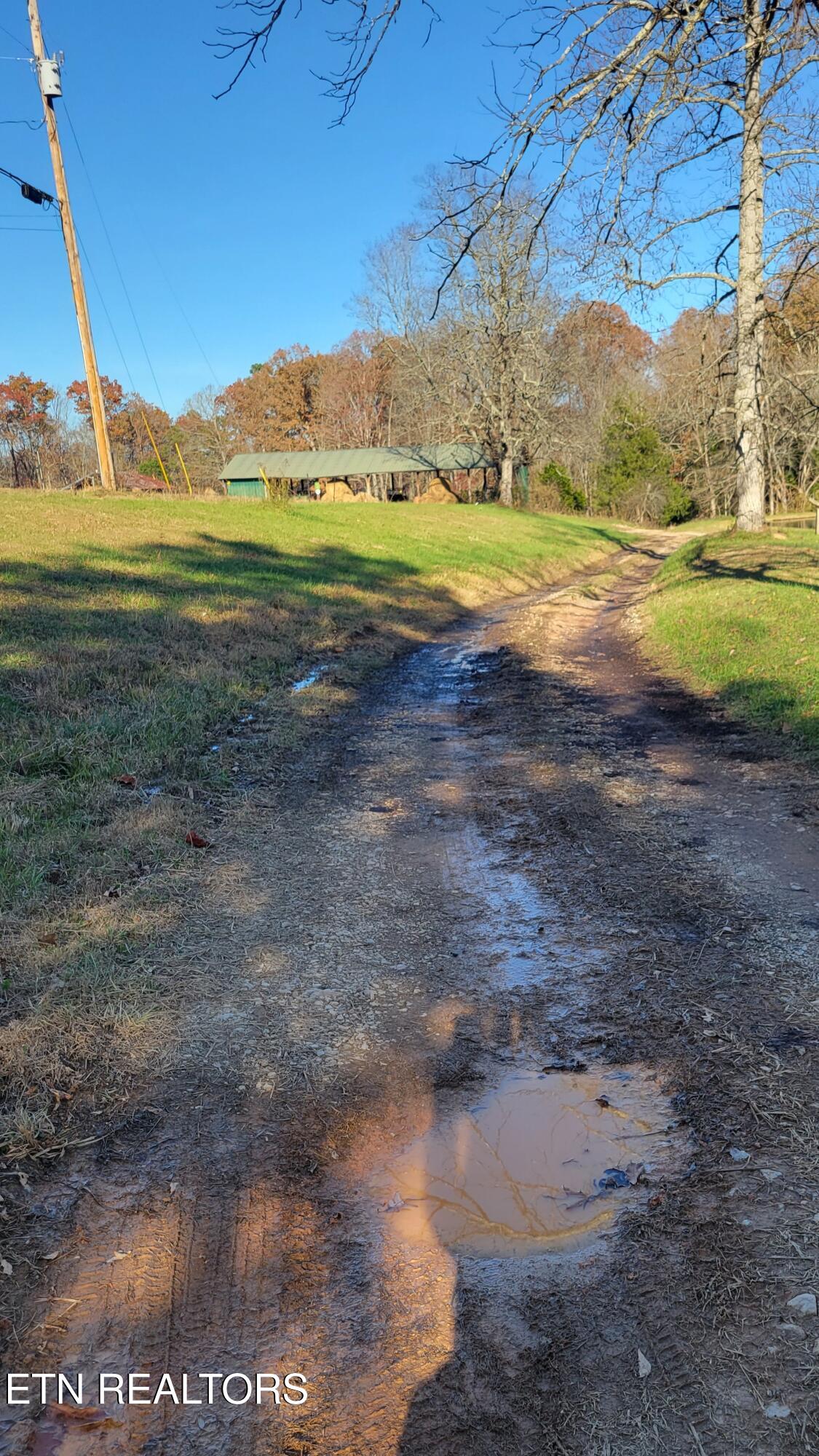 Kidd Mill Road Oneida, TN 37841 - Photo 13 of 24 Willie Boyatt Rd view 8