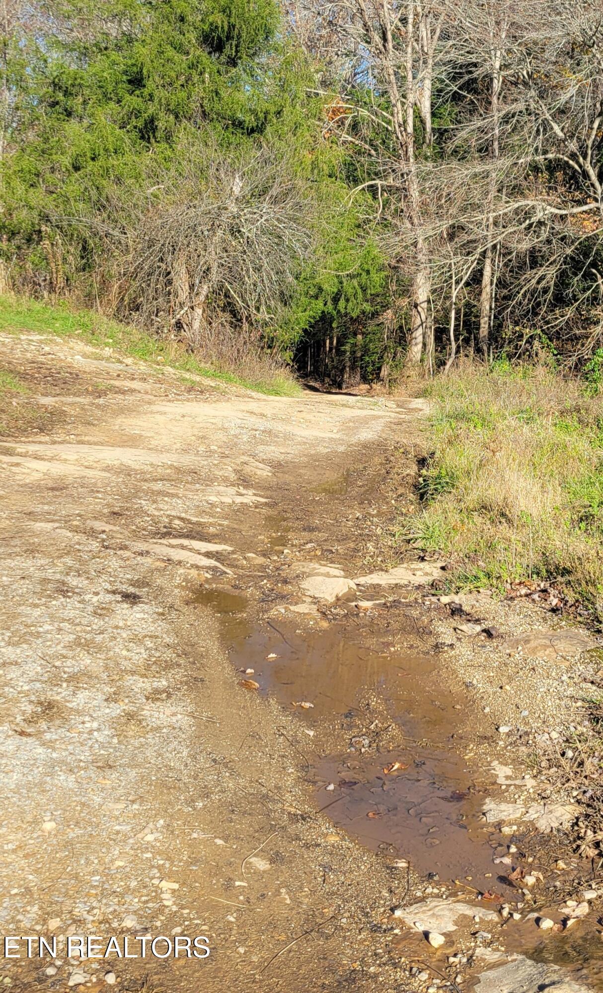 Kidd Mill Road Oneida, TN 37841 - Photo 14 of 24 Begin Kidd Mill Rd