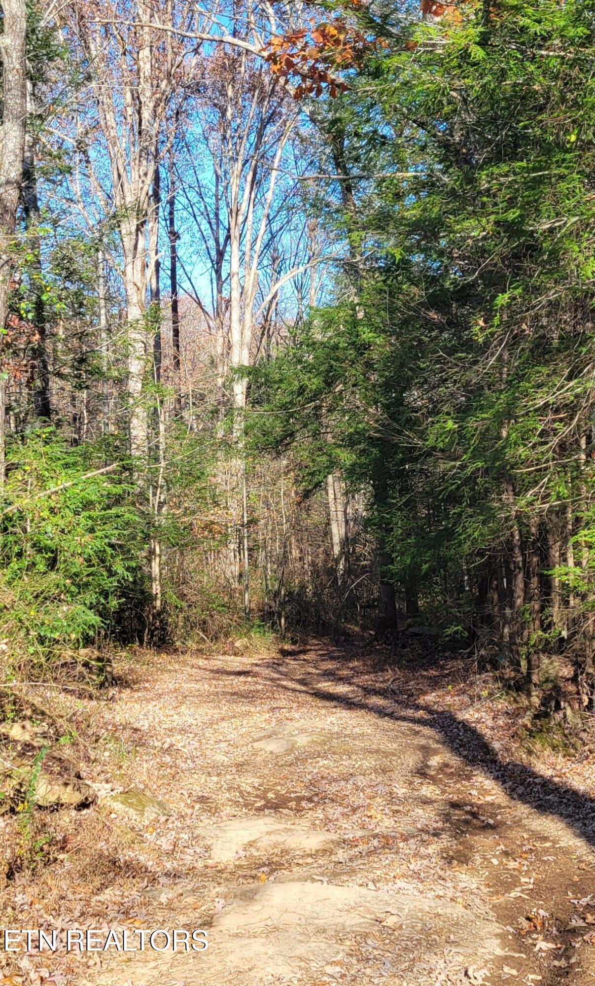 Kidd Mill Road Oneida, TN 37841 - Photo 15 of 24 Kidd Mill Rd view 1