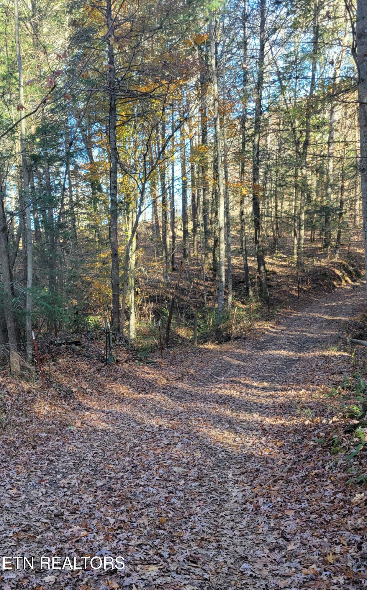 Kidd Mill Road Oneida, TN 37841 - Photo 16 of 24 Kid Mill Rd view 2