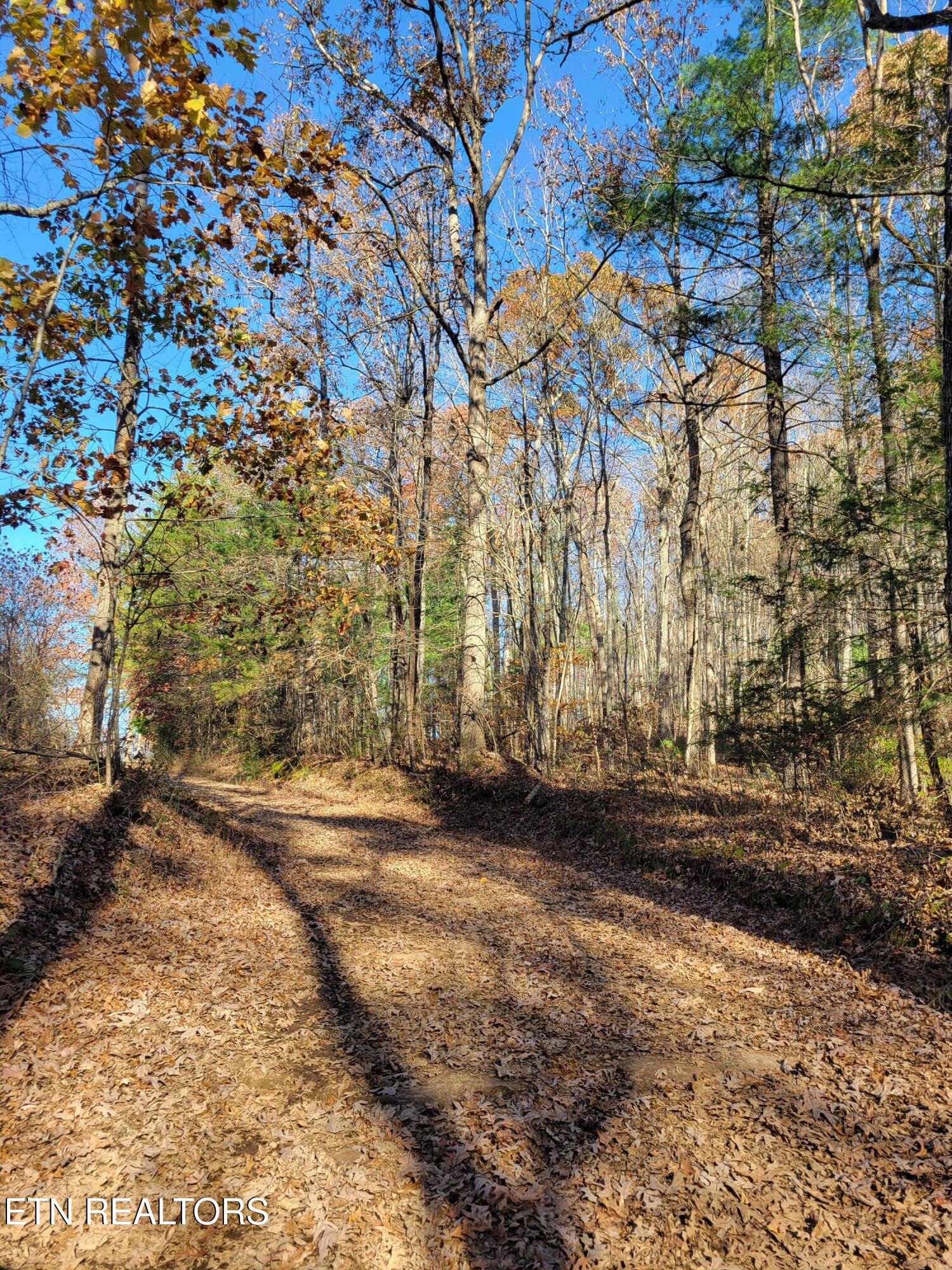 Kidd Mill Road Oneida, TN 37841 - Photo 18 of 24 Kidd Mill Rd view 4