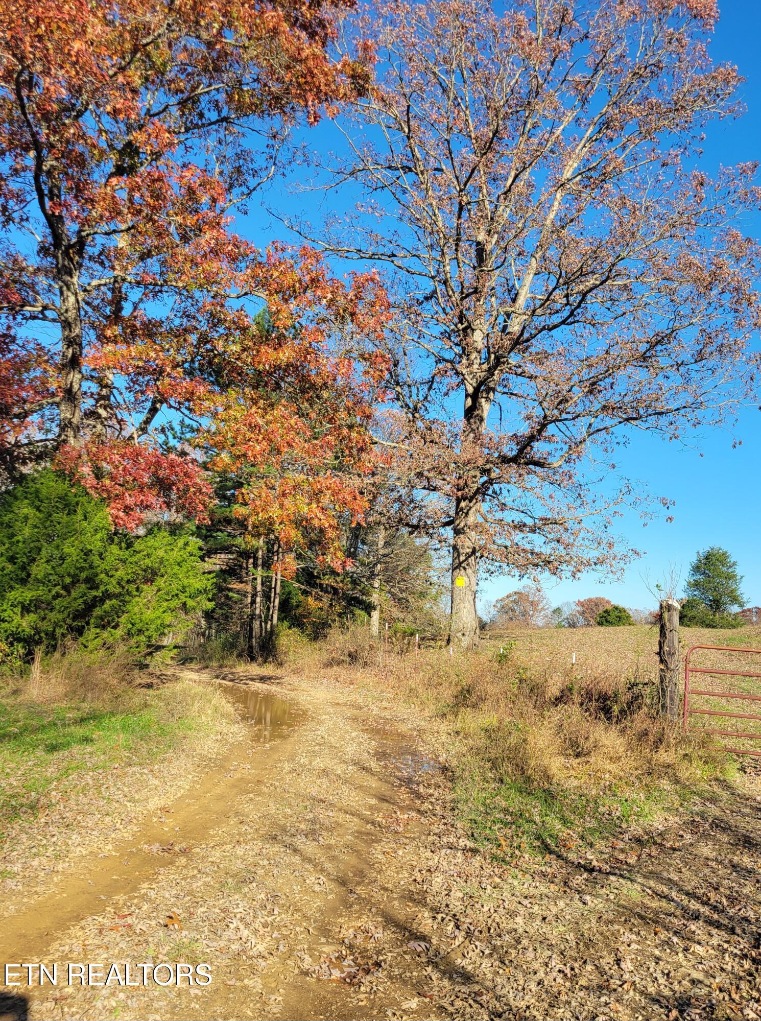 Kidd Mill Road Oneida, TN 37841 - Photo 20 of 24 Kidd Mill Rd view 6