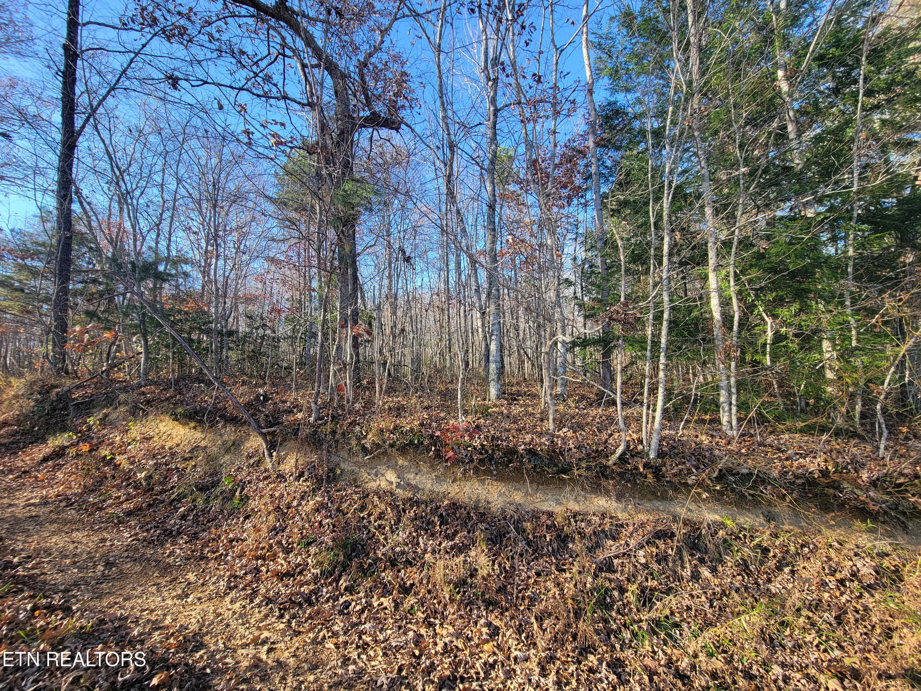 Kidd Mill Road Oneida, TN 37841 - Photo 2 of 24 Property view 2