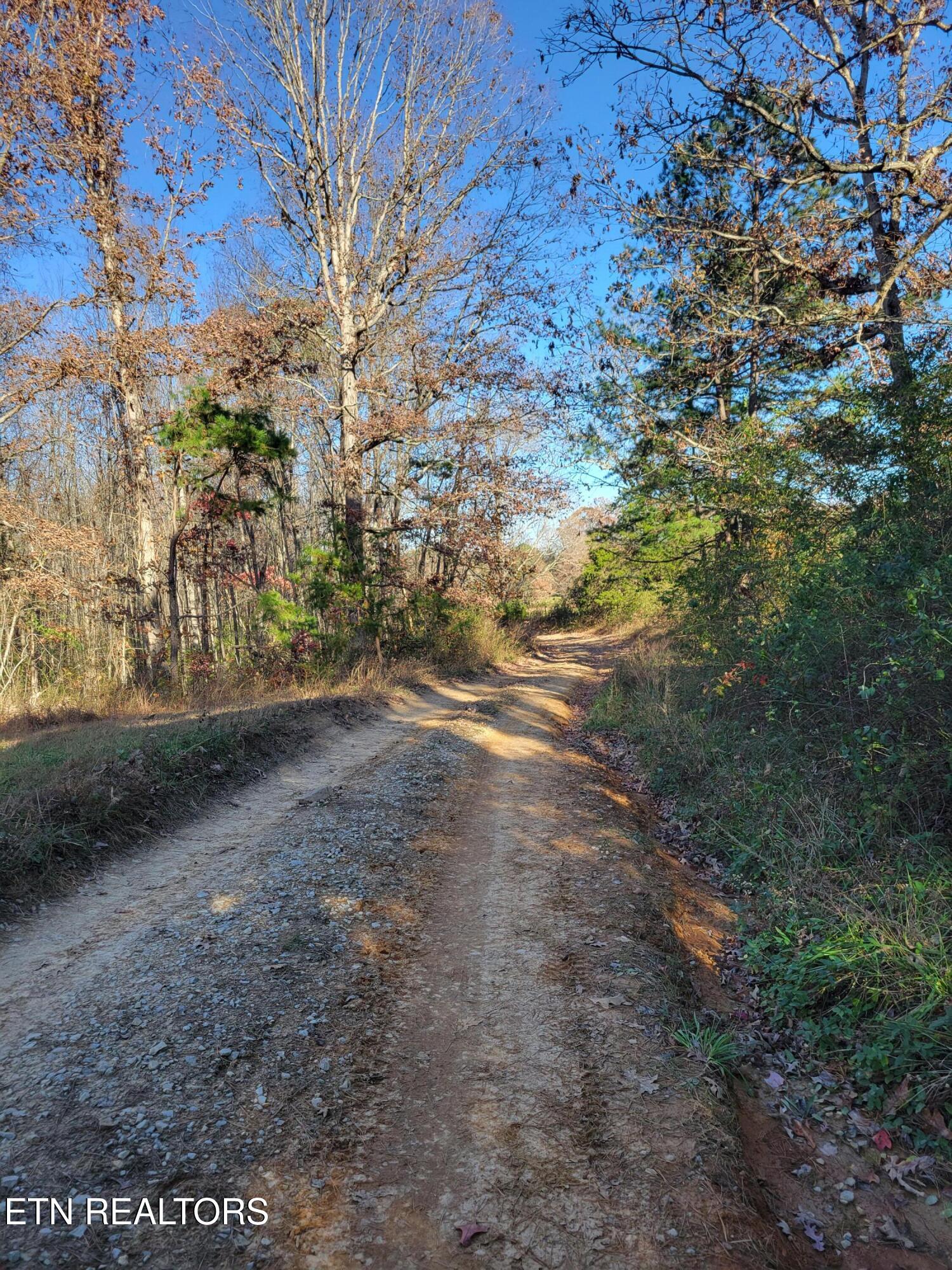 Kidd Mill Road Oneida, TN 37841 - Photo 21 of 24 Kidd Mill Rd view 7